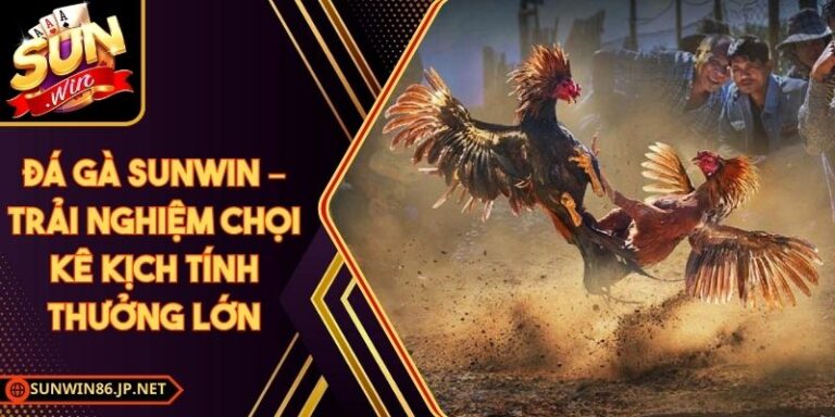Đá Gà Sunwin – Trải Nghiệm Chọi Kê Kịch Tính Thưởng Lớn 4 Đá Gà Sunwin